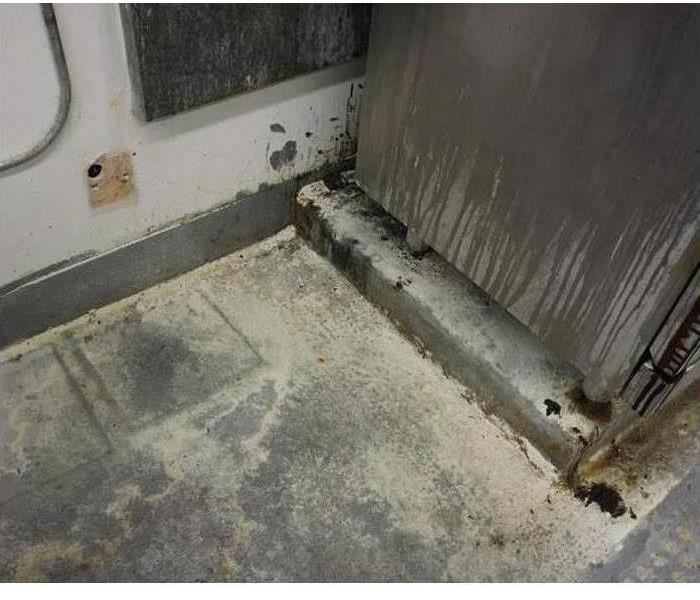 grease and grime in an industrial kitchen