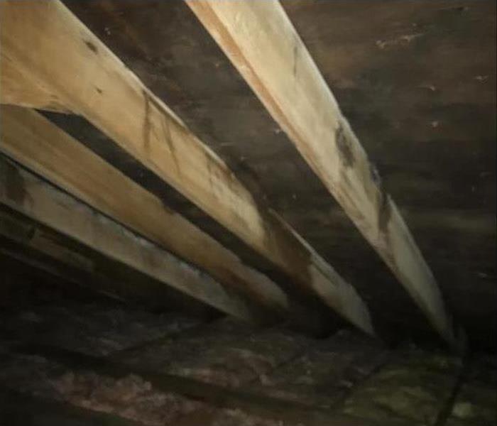 darkened, moldy attic and insulation