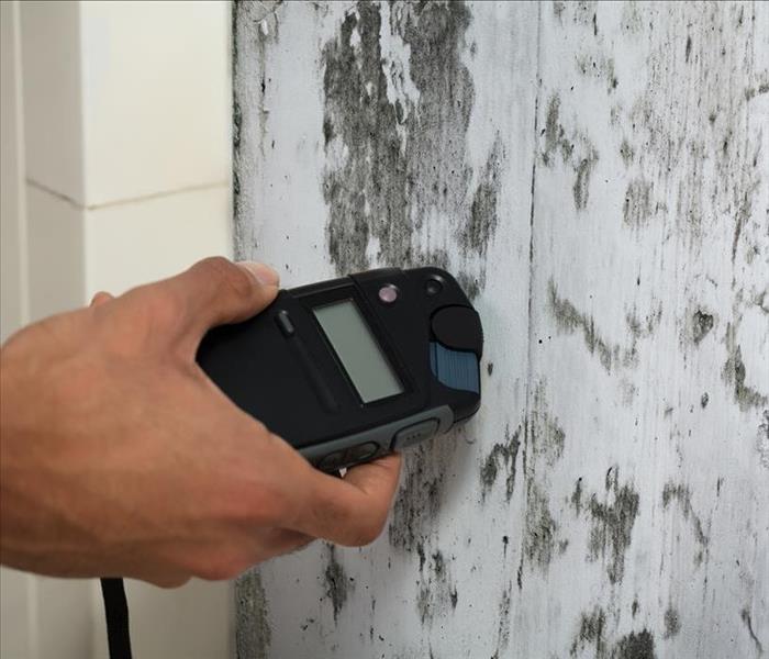 moisture meter checking mold damaged wall